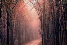 哪里能找到皇马对阵马竞的欧冠决赛视频？这场对决有哪些经典瞬间值得回味？